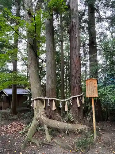 宇那禰神社(宮城県)