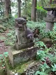 琴平神社の狛犬