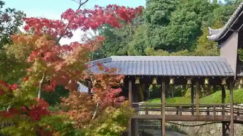 光明寺（粟生光明寺）の建物その他