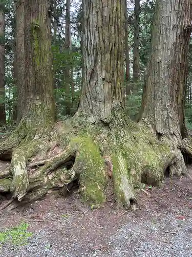 北口本宮冨士浅間神社(山梨県)