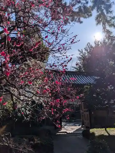 玄国寺(東京都)