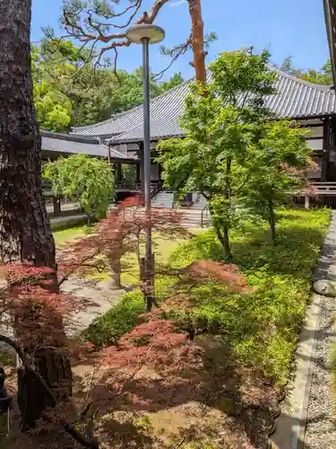 妙法寺(東京都)