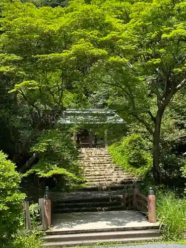 日向大神宮(京都府)