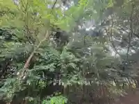 森正八幡神社(愛媛県)