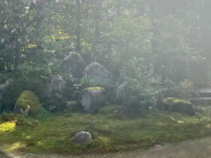 金臺寺(金台寺)(京都府)
