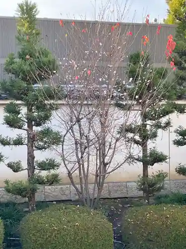 妙蓮寺(京都府)