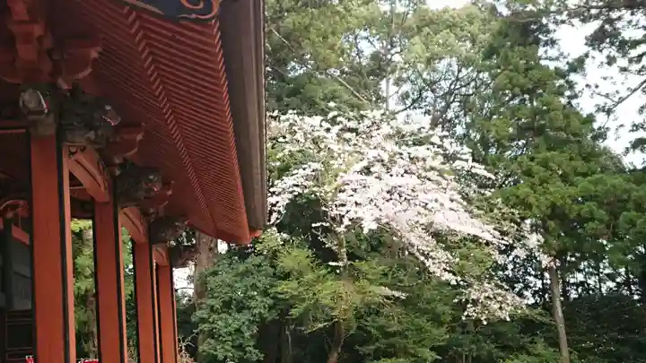 宝城坊のその他建物