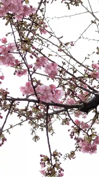 車折神社(京都府)
