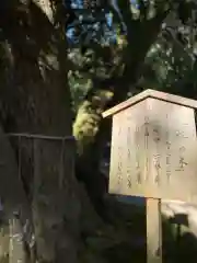 賀茂別雷神社（上賀茂神社）の歴史