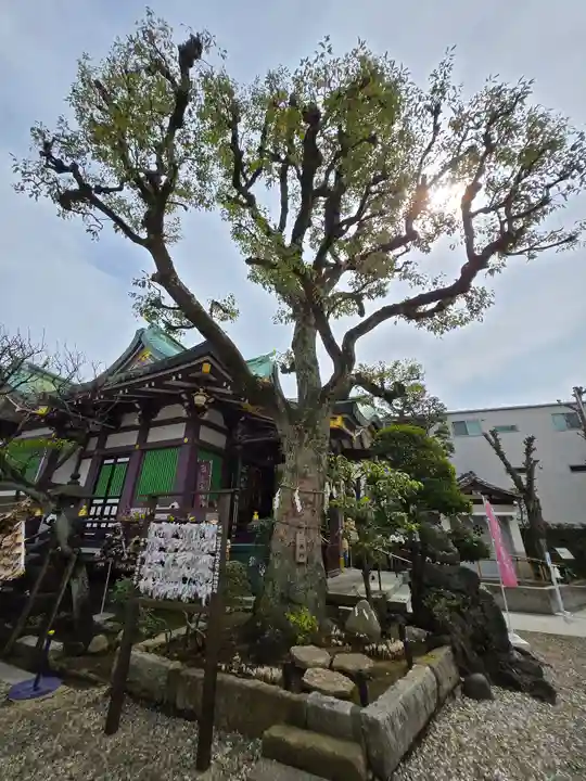 高木神社(東京都)