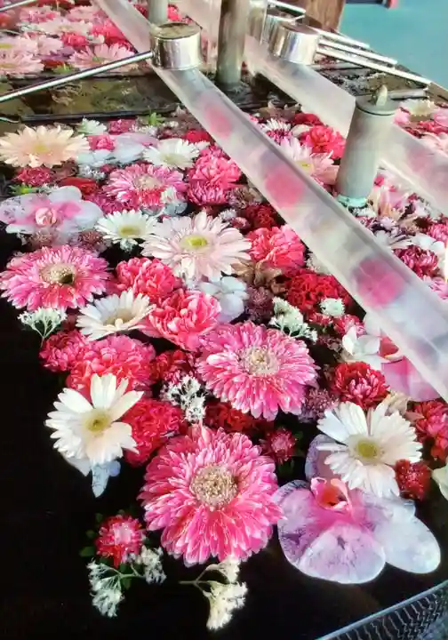 成田山深川不動堂(新勝寺東京別院)(東京都)