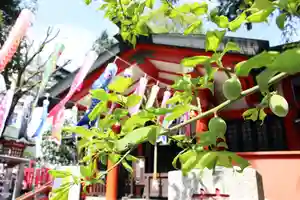 くまくま神社(導きの社 熊野町熊野神社)のその他建物(2021年04月15日(木) 20時13分17秒投稿)