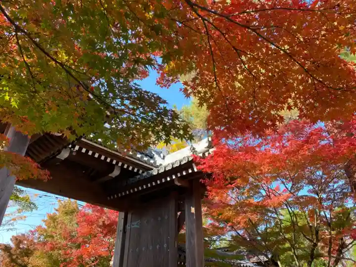 禅林寺(永観堂)の山門・神門