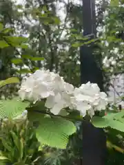 東郷神社(東京都)