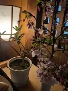 伏木香取神社(茨城県)(2026年04月05日(日) 14時29分14秒投稿)