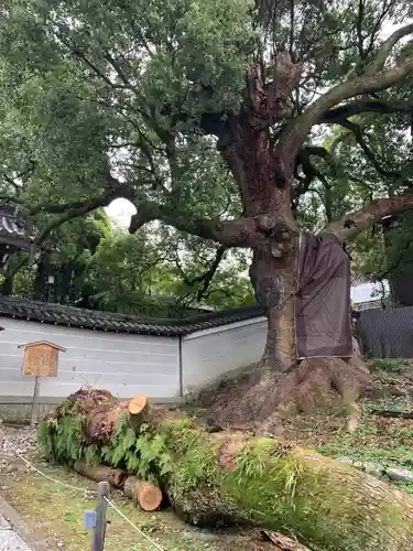 青蓮院門跡(京都府)
