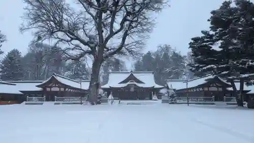 北海道護國神社の本殿・本堂