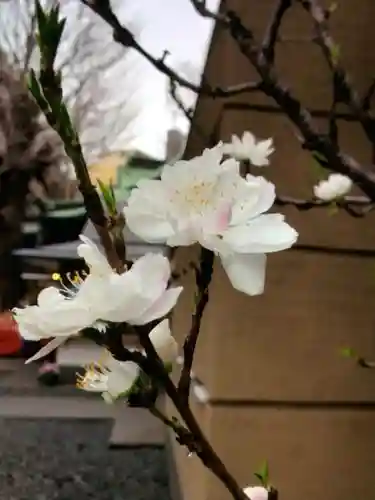 小野照崎神社(東京都)