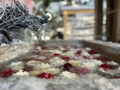 札幌諏訪神社の手水