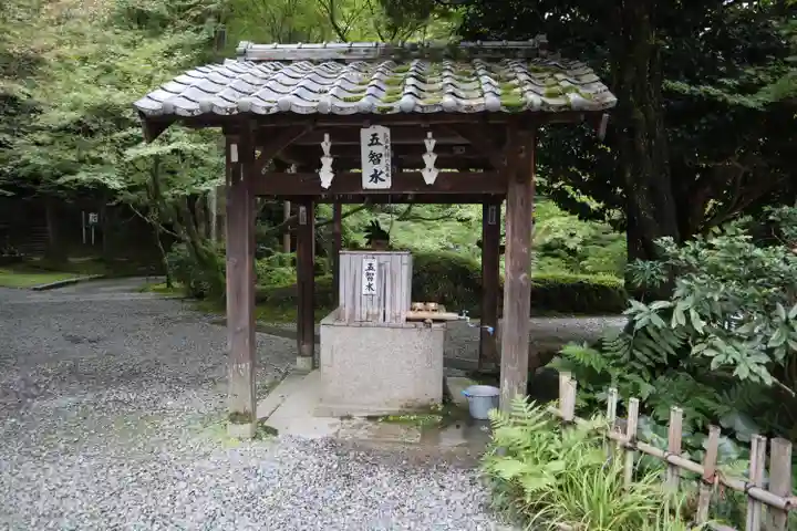今熊野観音寺(京都府)