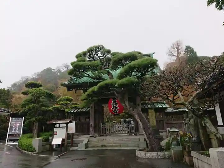 長谷寺の山門・神門