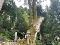 八幡神社(福井県)