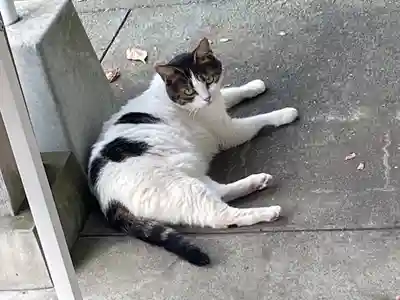 皇大神宮（烏森神社）(神奈川県)