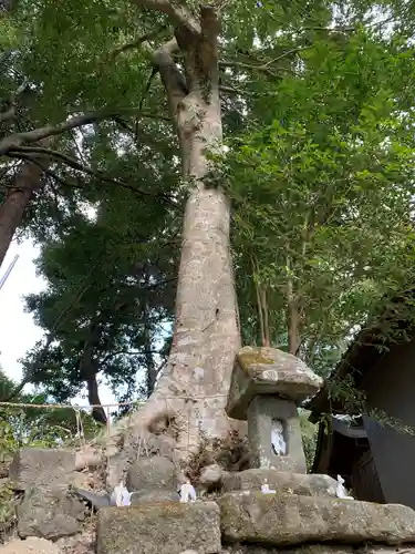鹿原神社の自然