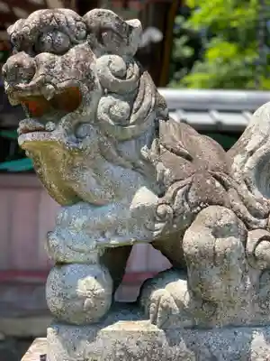 建藤神社の狛犬
