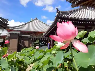 中山寺(兵庫県)