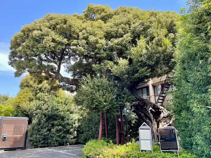 延命院(東京都)