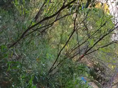 保久良神社(兵庫県)