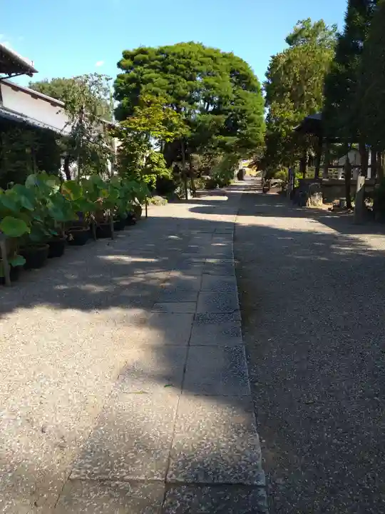 観音寺のその他建物