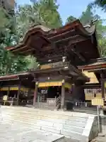 諏訪大社下社秋宮の本殿・本堂