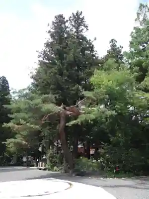 穂高神社本宮(長野県)