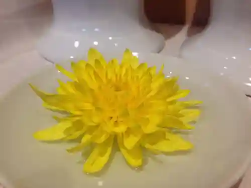 滑川神社 - 仕事と子どもの守り神のお祭り