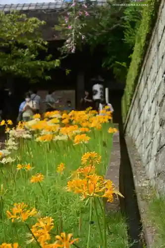 横浜　西方寺(神奈川県)