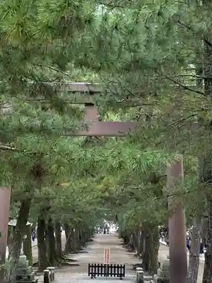 出雲大社(島根県)