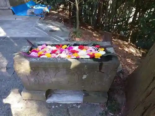 田間神社(千葉県)