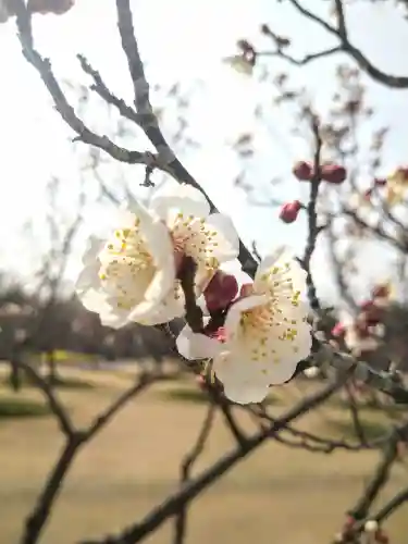 神前神社の自然