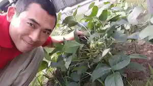 蓮久寺(千葉県)(2020年10月06日(火) 14時42分12秒投稿)