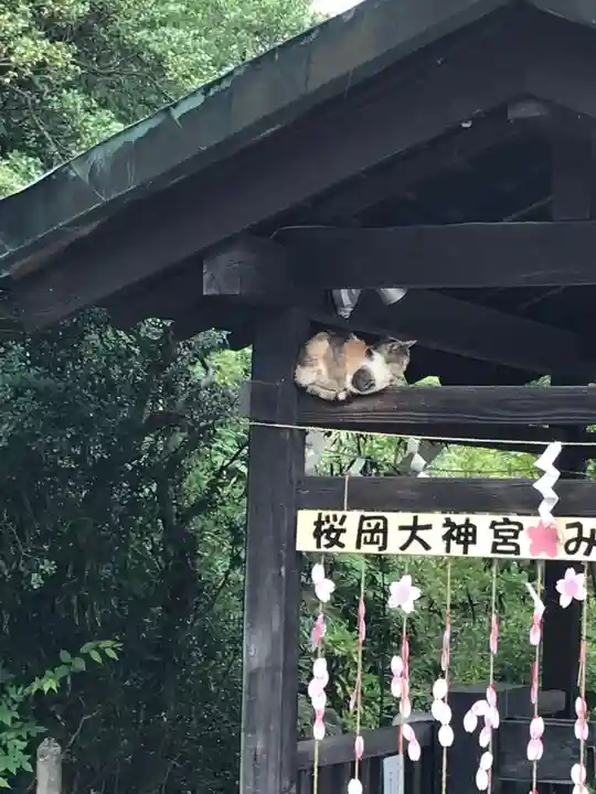 櫻岡大神宮の動物