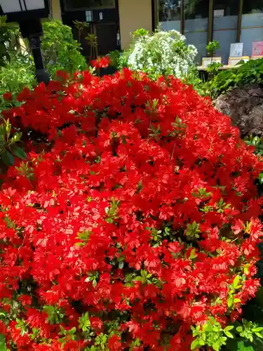 豊景神社(福島県)