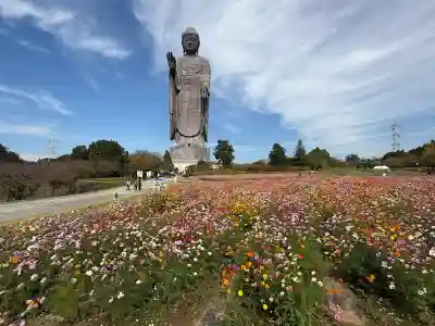 東本願寺本廟 牛久浄苑(牛久大仏)(茨城県)