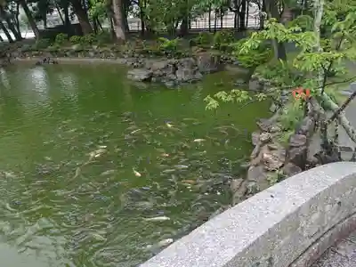 宗像大社(福岡県)