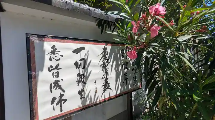 善性院(京都府)