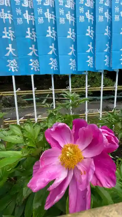 椿大神社(三重県)