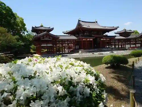 平等院のその他建物