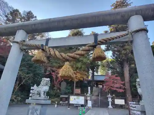 中氷川神社(埼玉県)