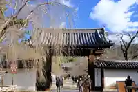 醍醐寺(京都府)